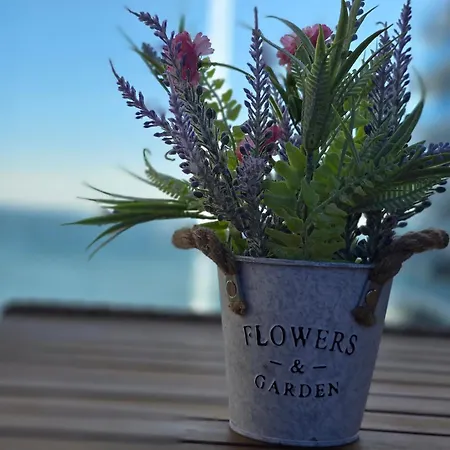 Edyson White Titanic By Endless Summer - Premium Sea View Navodari