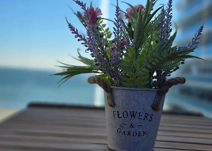 Edyson White Titanic By Endless Summer - Premium Sea View Navodari